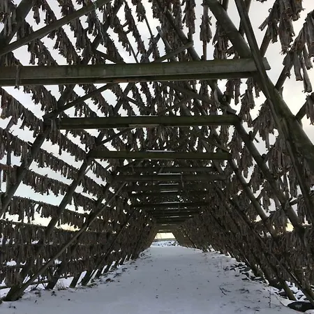 Svinoya, Hyggelig Lägenhet